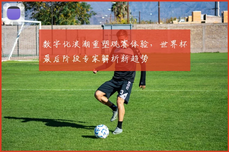 数字化浪潮重塑观赛体验，世界杯最后阶段专家解析新趋势