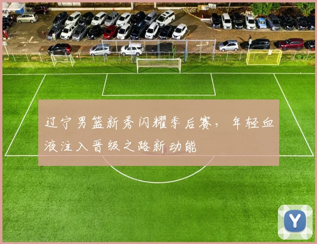 辽宁男篮新秀闪耀季后赛，年轻血液注入晋级之路新动能