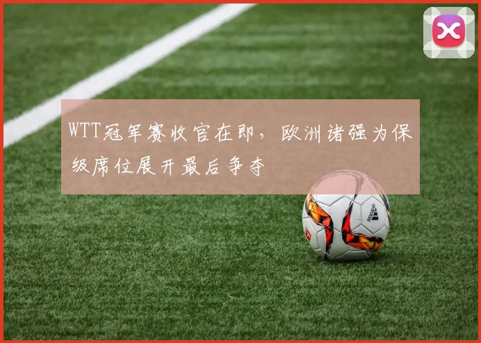WTT冠军赛收官在即，欧洲诸强为保级席位展开最后争夺