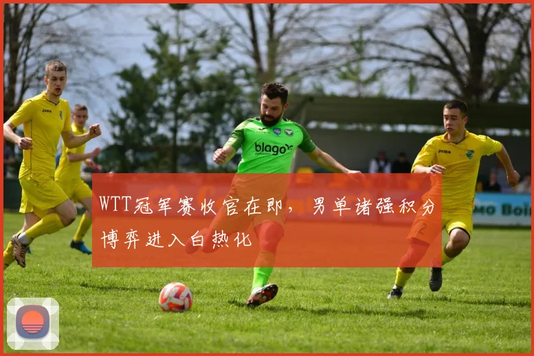 WTT冠军赛收官在即，男单诸强积分博弈进入白热化